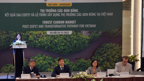 Bán 'hàng hóa CO2' từ rừng, tỉnh Quảng Nam thu 5 triệu USD/năm 