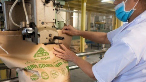 Loạt lãnh đạo cấp cao Thành Thành Công (SBT) chi hàng trăm tỷ gom mua cổ phiếu