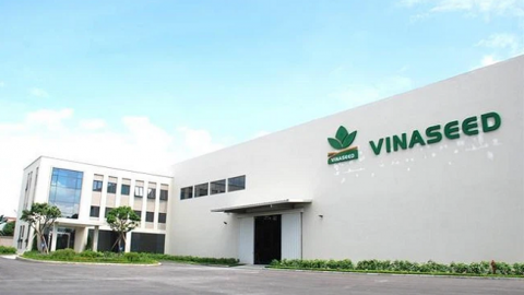Mở rộng thị trường xuất khẩu, Vinaseed (NSC) báo lãi quý IV tăng 31% lên 92 tỷ đồng
