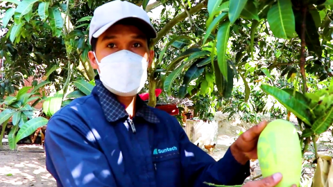 Ông nông dân có đôi tay 'phù thủy' hô biến trái cây thư pháp 'Phúc-Lộc-Thọ' đủ đầy, thu 100 triệu ngày Tết