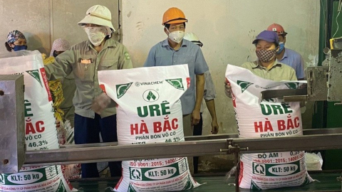 Đạm Hà Bắc (DHB) bất ngờ báo lãi gần 870 tỷ sau 6 năm chìm trong thua lỗ