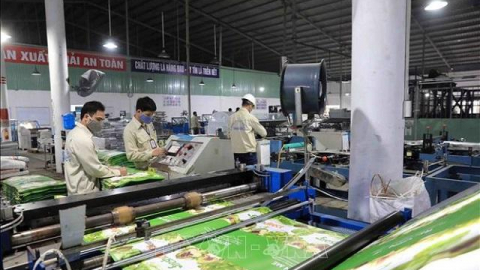 Thuận Đức (TDP) chi 50 tỷ mua lại 400m2 sàn thương mại của vợ chồng chủ tịch