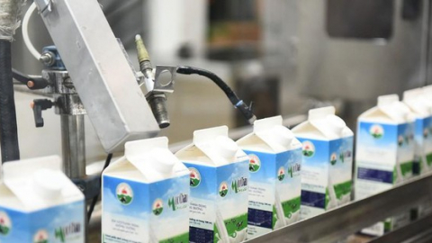 Mộc Châu Milk (MCM) chốt quyền chia cổ tức còn lại năm 2021, tỷ lệ 15%