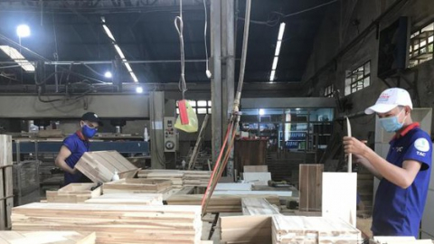 Gỗ Thuận An (GTA) chia cổ tức năm 2021 tỷ lệ 8,5% bằng tiền mặt