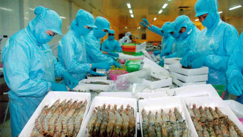Tận dụng Hiệp định RCEP, xuất khẩu thủy sản sang Australia dự báo tăng mạnh