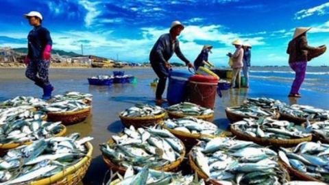 Các nước thành viên RCEP chiếm trên 63% thị phần xuất khẩu thủy sản của Việt Nam