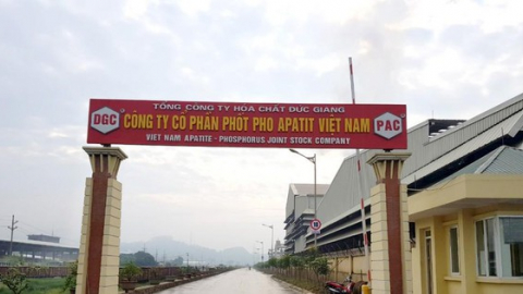 Hoá chất Đức Giang (DGC) đưa 25 triệu cổ phiếu Phốt pho Apatit Việt Nam (PAT) lên giao dịch trên thị trường UPCoM
