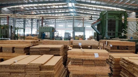 Lãnh đạo Sao Thái Dương nói gì khi cổ phiếu SJF “lau sàn” 5 phiên liên tiếp?