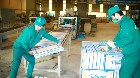 Viglacera Thăng Long (TLT) chốt danh sách trả cổ tức bằng tiền tỷ lệ 10%