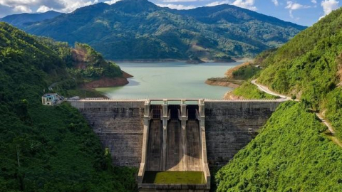 NED bị phạt và truy thu gần 400 triệu đồng