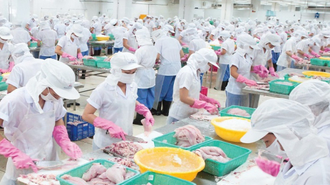 Thủy sản Mekong (AAM) báo lãi kỷ lục 8,8 tỷ đồng trong quý II/2022