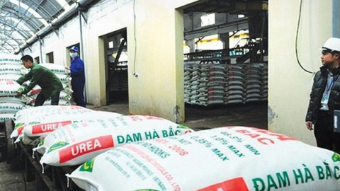 Kinh doanh quý II khởi sắc, Đạm Hà Bắc (DHB) báo lãi 478,2 tỷ đồng