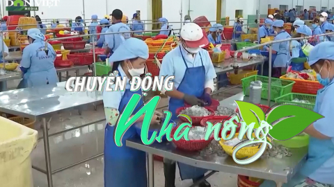 Chuyển động Nhà nông 20/7: Doanh nghiệp thủy sản 'đói' nguyên liệu, VASEP kiến nghị gỡ nút thắt cho hàng nhập khẩu