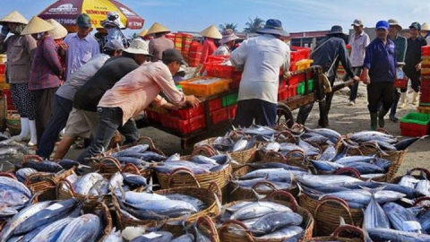 FAO: Thế giới sẽ tăng tiêu thụ thủy sản 15%, đạt 21,4 kg/người năm 2030