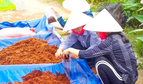 Đối phó với giá phân bón hóa học tăng cao, ở tỉnh này nông dân làm phân bón handmade, hóa ra lại hay
