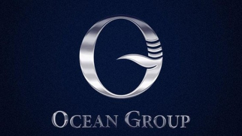 Cổ phiếu bị đưa vào diện cảnh báo, Ocean Group (OGC) nói gì?