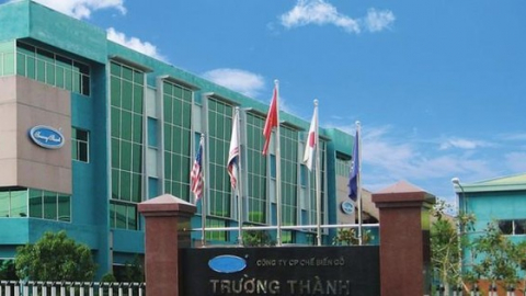 Gỗ Trường Thành (TTF) sắp chào bán riêng lẻ hơn 41,1 triệu cổ phiếu giá 11.000 đồng/cp