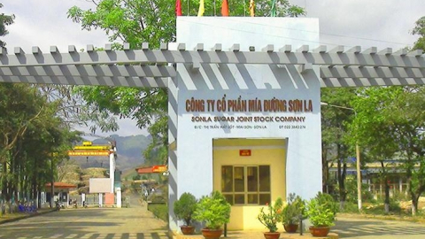 Niên vụ 2022-2023: Mía đường Sơn La (SLS) lên kế hoạch lãi 75,3 tỷ đồng, cổ tức dự kiến 30%