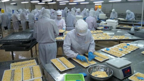 Camimex Group (CMX) bị phạt hơn 300 triệu đồng