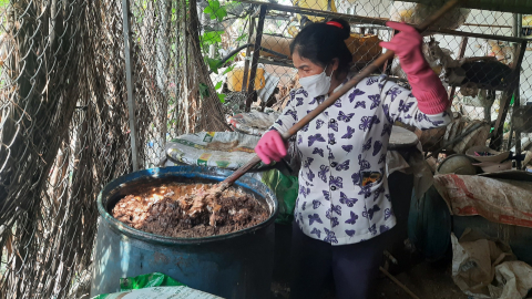 Vườn cây ăn quả của bà nông dân Gia Lai ra trái quá trời, bất ngờ khi thấy loại phân bón 'handmade' này
