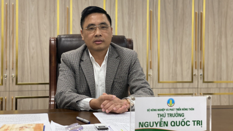 Thứ trưởng Bộ NNPTNT: Ngành lâm nghiệp đóng vai trò quan trọng để thực hiện cam kết của Việt Nam tại COP26