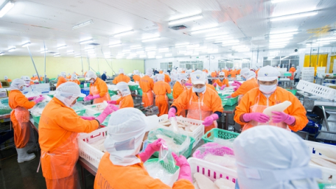Navico (ANV) báo lãi quý 4 tăng 96%, lên hơn 100 tỷ đồng