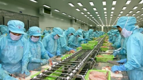 IDI báo lãi giảm hơn 70% trong quý 4, cả năm không hoàn thành mục tiêu