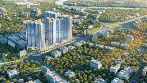 Tài chính Hoàng Huy (TCH) báo lãi tăng hơn 26% trong quý 3, trữ tiền tăng mạnh