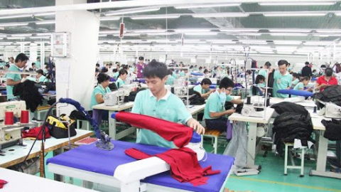 Cổ phiếu PPH 'tím lịm' sau khi công bố kết quả kinh doanh tăng trưởng bằng lần