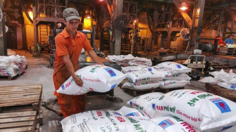 Đạm Phú Mỹ (DPM) báo lãi quý III thấp nhất kể từ cuối năm 2019