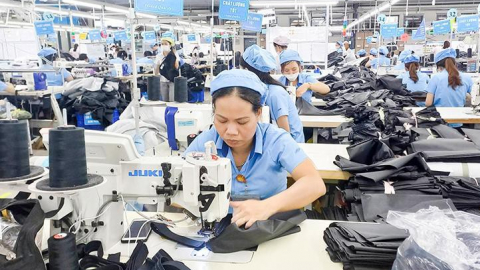 Garmex Sài Gòn (GMC) báo lỗ 9 tháng hơn 44 tỷ đồng, cắt giảm nhân sự còn 37 người