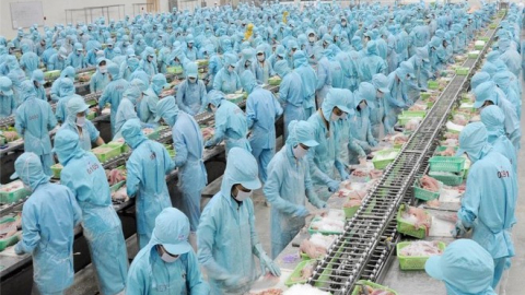 IDI báo lãi 9 tháng lao dốc hơn 87%, nợ vay gần 4.400 tỷ đồng