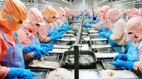 Thủy sản Minh Phú (MPC) lỗ đậm trong quý III/2023