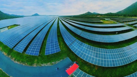 Tập đoàn Sao Mai (ASM) lãi giảm hơn 70%, vay nợ vượt 10.100 tỷ đồng
