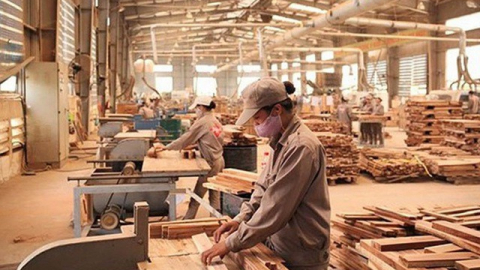 Vi phạm về thuế, Gỗ Thuận An (GTA) bị phạt và truy thu hơn 134 triệu đồng