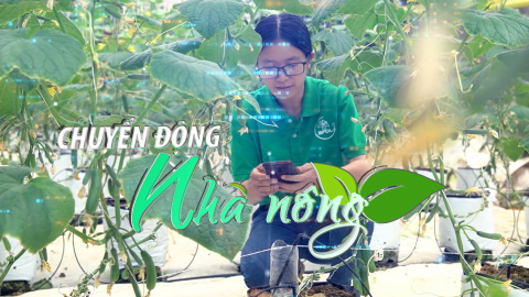 Chuyển động Nhà nông 9/11: Công nghệ blockchain giúp khắc phục điểm yếu của nông sản Việt Nam