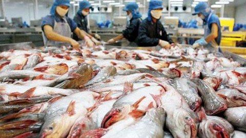 Doanh nghiệp thủy sản phải tiếp quá nhiều đoàn thanh tra, kiểm tra, VASEP 'tố' với Chính phủ