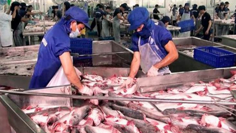 VASEP: Cần cắt giảm hoạt động thanh tra, kiểm tra không cần thiết đối với doanh nghiệp