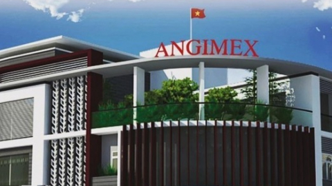 Angimex (AGM) chuyển nhượng 21% vốn tại Công ty con mảng bán mô tô xe máy