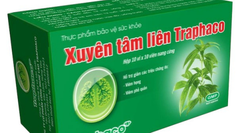 Không đảm bảo số lượng thành viên HĐQT độc lập, Traphaco (TRA) bị phạt 125 triệu đồng