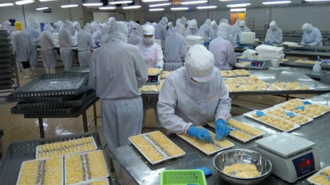 Camimex Group (CMX) nâng sở hữu tại công ty con lên hơn 85%