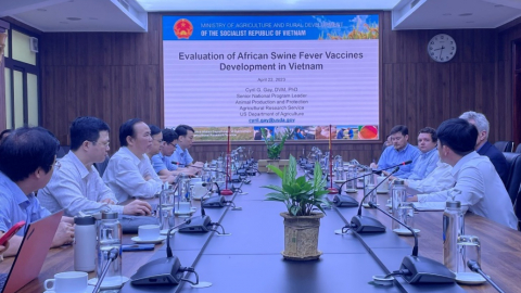 Sản xuất được vaccine phòng loại bệnh trăm năm có một trên lợn, Việt Nam chia sẻ mọi thông tin với WOAH, FAO