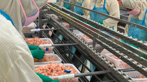 Stapimex lên mục tiêu doanh thu xuất khẩu 340 triệu USD, cổ tức 100%