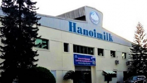 Thương hiệu đình đám một thời Hanoimilk bị phạt 200 triệu đồng vì công bố thông tin sai lệch