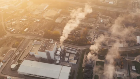 Phát hiện loại vi khuẩn biến khí CO2 thành nhựa tự phân hủy