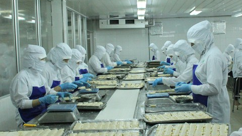 Khai sai thuế, Agrex Sài Gòn (AGX) bị phạt và truy thu hơn 730 triệu đồng