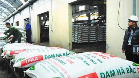 Đạm Bắc Hà (DHB) dự kiến lãi giảm 61% so với thực hiện năm 2022
