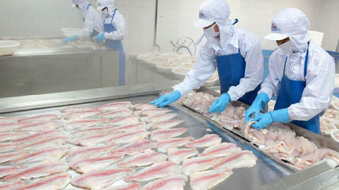 Thủy sản MeKong (AAM) báo lãi Quý 1 giảm 41% xuống 1,2 tỷ đồng