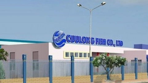 Năm 2023 Thủy sản Cửu Long An Giang (ACL) tập trung chế biến cá tra xuất khẩu, dự kiến lãi 80 tỷ đồng