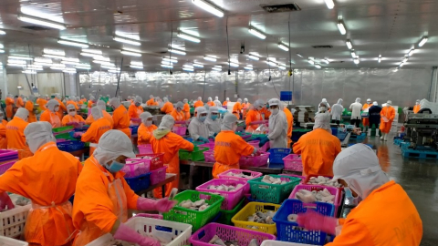 Nguyên nhân khiến lợi nhuận của Navico giảm tới 55%